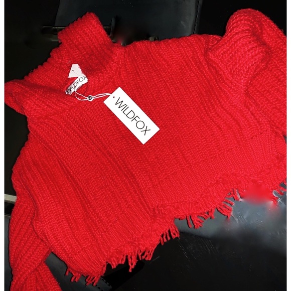 Gorgeous NWT ♥️WILDFOX DISTRESSED HOODED SWEATER. Beautiful red for Valentine’s - Picture 4 of 7